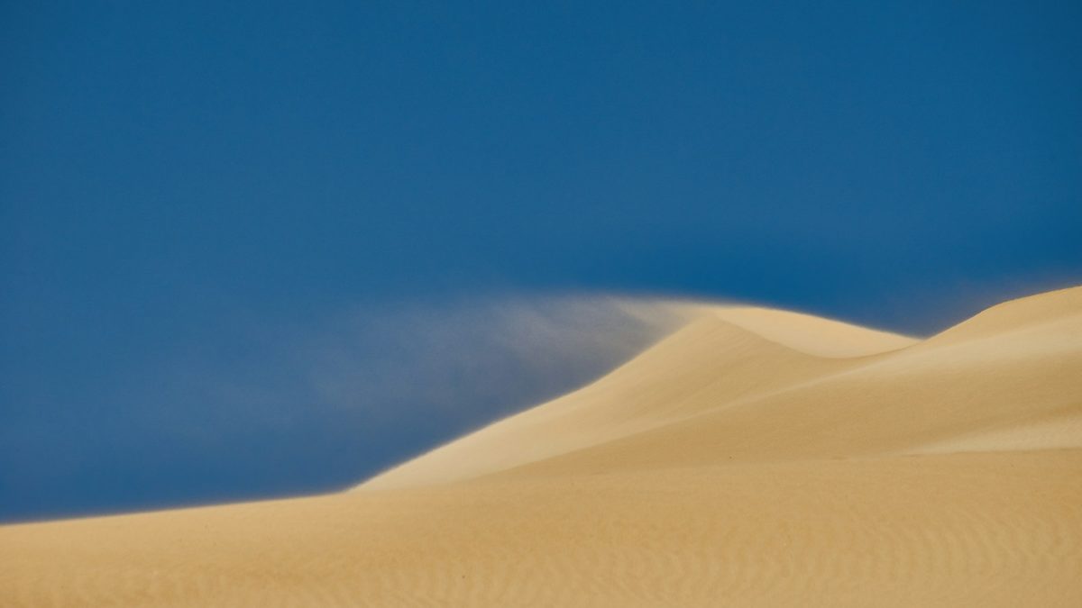 砂漠の風